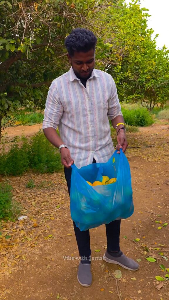 One of the best orange farms to visit near Riyadh
