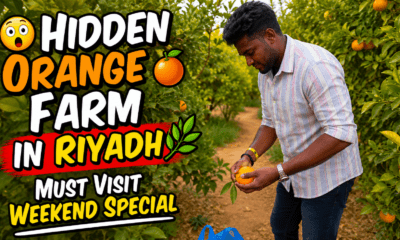 Hidden Orange Farm near Riyadh, Saudi Arabia