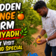 Hidden Orange Farm near Riyadh, Saudi Arabia