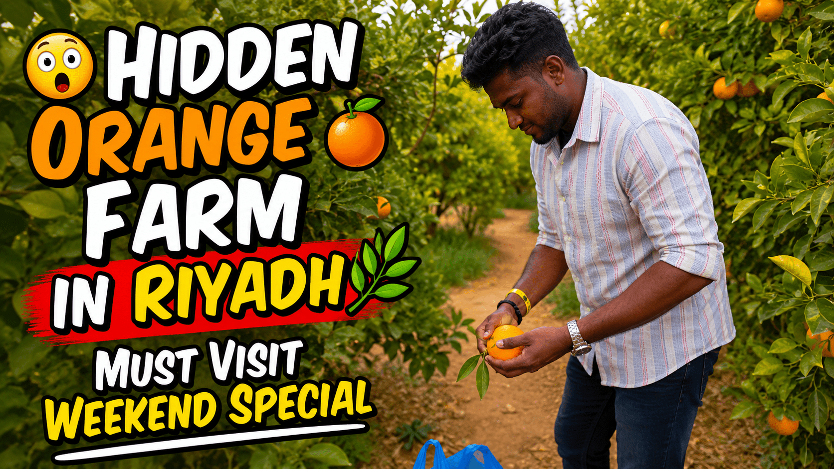 Hidden Orange Farm near Riyadh, Saudi Arabia