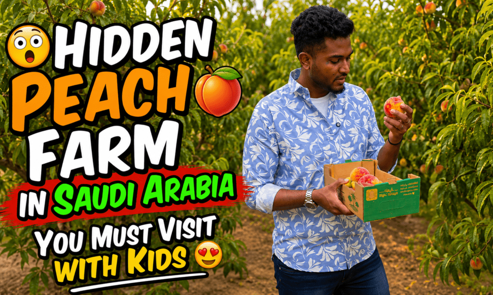 Hidden peach farm in Saudi Arabia with fresh peach trees