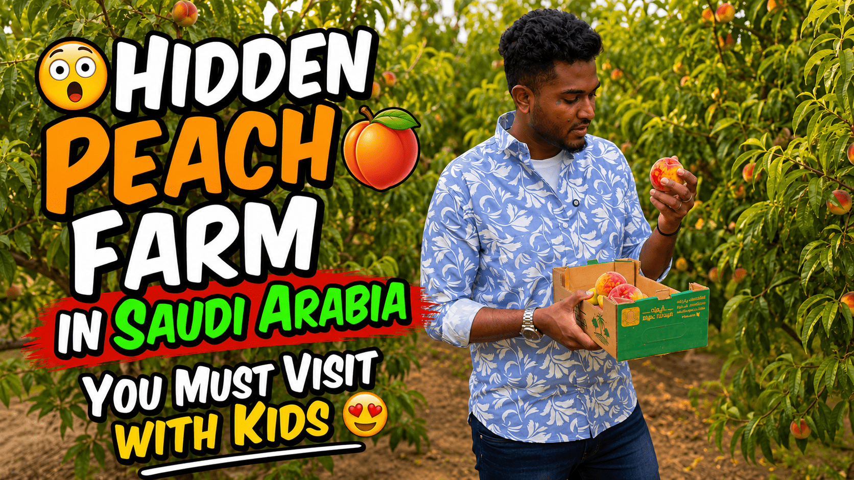 Hidden peach farm in Saudi Arabia with fresh peach trees