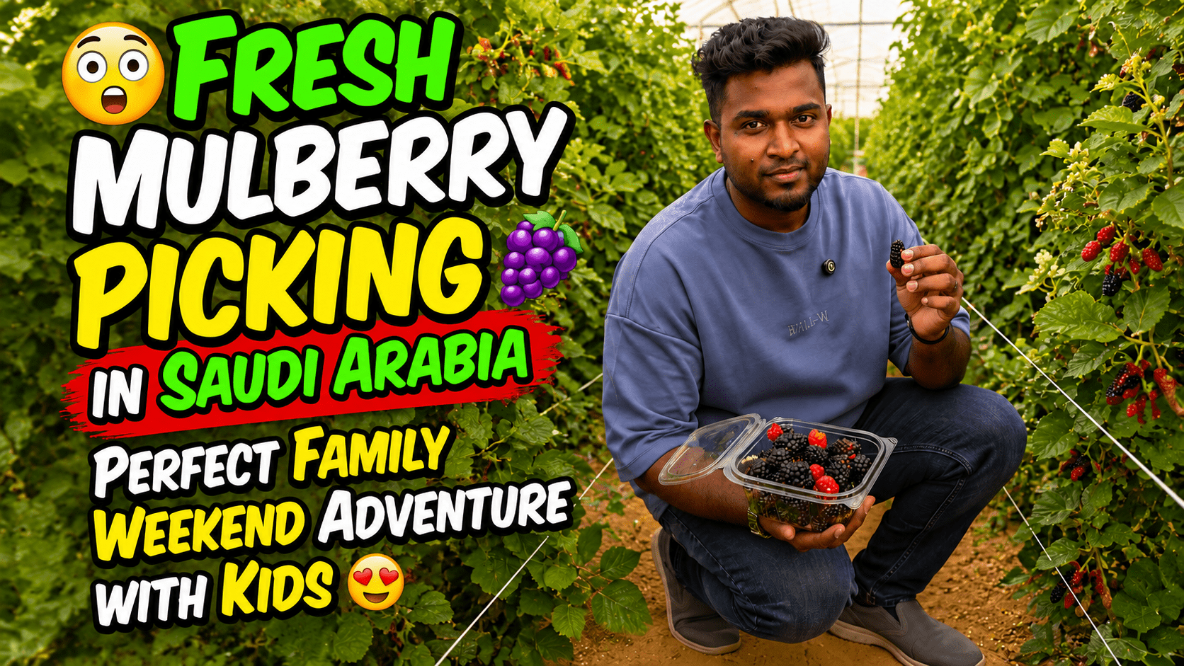Mulberry farm in Riyadh with fresh seasonal berries
